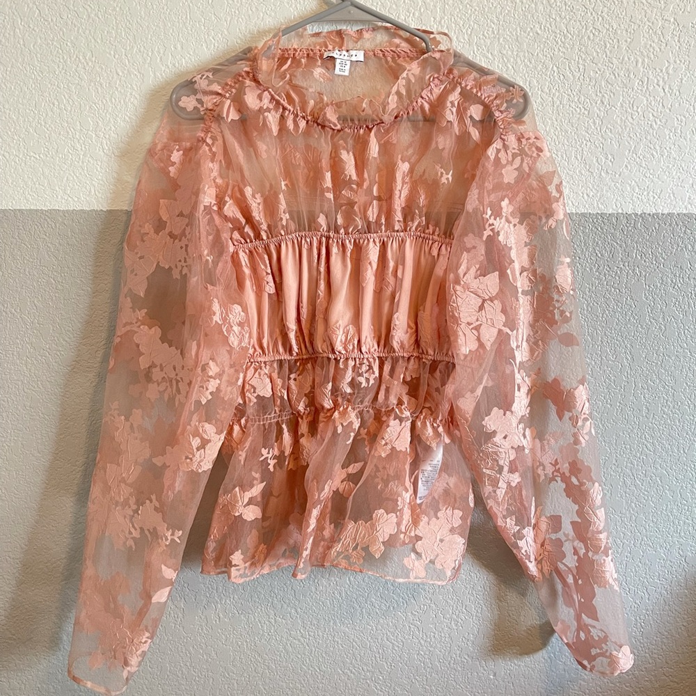 Topshop Pink Organza Blouse